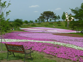 20110521_052258000_iOS.jpg