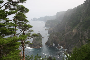 IMG_0477.jpg