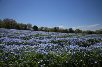IMG_3256.JPG