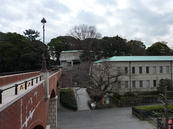 P1030794.JPG