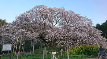 yositaka02.jpg
