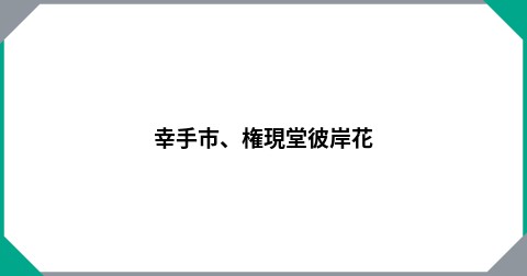 幸手市、権現堂彼岸花