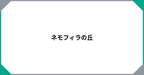 ネモフィラの丘