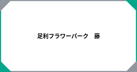 足利フラワーパーク　藤