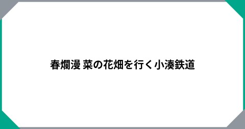 春爛漫  菜の花畑を行く小湊鉄道