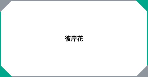 彼岸花