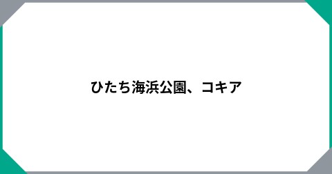 ひたち海浜公園、コキア