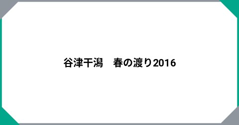 谷津干潟　春の渡り2016