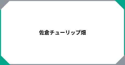 佐倉チューリップ畑