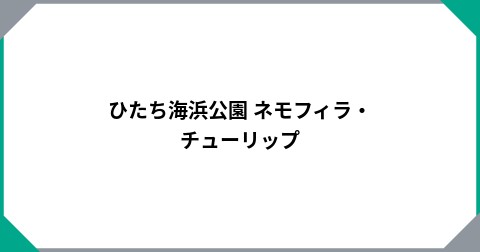 ひたち海浜公園 ネモフィラ・チューリップ