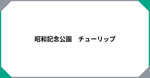 昭和記念公園　チューリップ