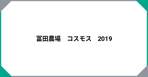 冨田農場　コスモス　2019