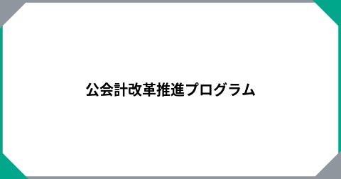 公会計改革推進プログラム